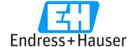 Logo_EndressHauser